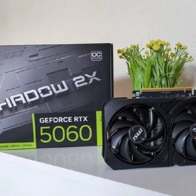 Placa de Video MSI RTX 5060 Shadow 2X OC