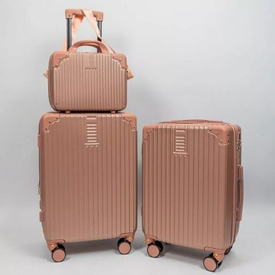 2 Malas Bordo Viagem Frasqueira
