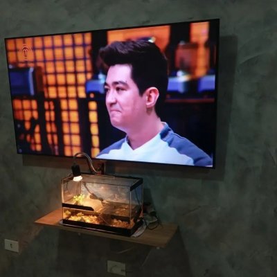 Samsung Smart TV 50 Crystal UHD 4K + Soundbar HW-B400F/ZD