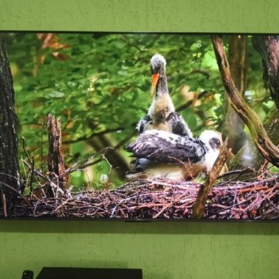 Smart TV TCL 65 QLED Mini LED 4K Google TV 144Hz