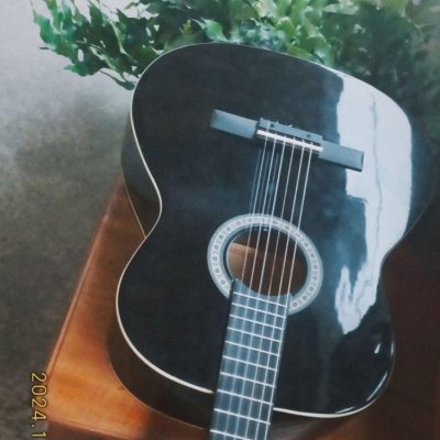 Giannini N-14Bk Violão Acústico Preto