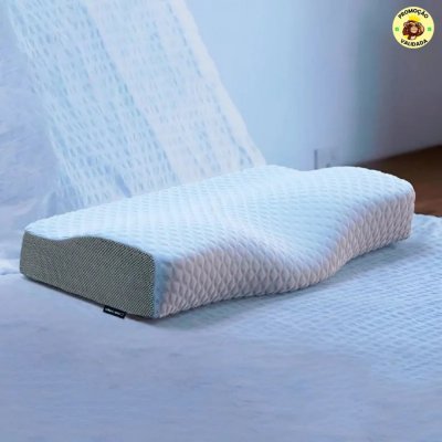 Travesseiro Cervical Nasa
