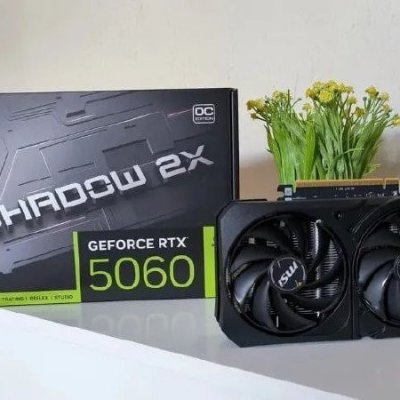 Placa de Vídeo MSI Geforce RTX 5060 Shadow 2x OC 8GB GDDR7