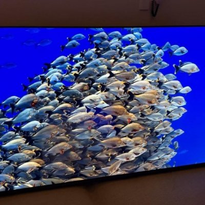 Smart TV Hisense 55 4K Dolby Vision