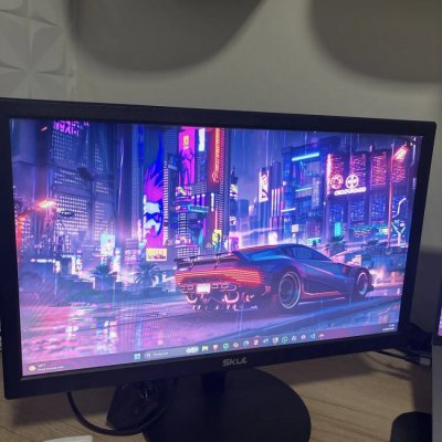 Monitor Skul 19,5 LED HDMI VGA Preto