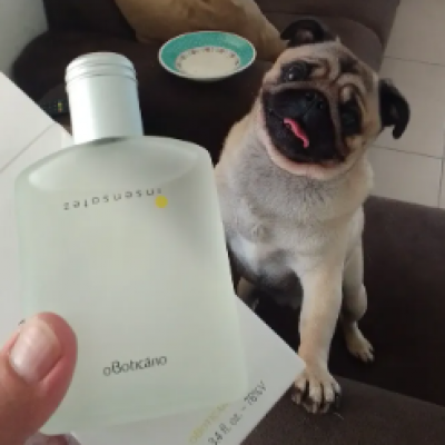 Boticário Insensatez Deo Colônia 100ml