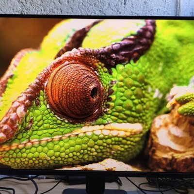 Monitor LG UltraGear 24G411A-B 24 FHD 144Hz