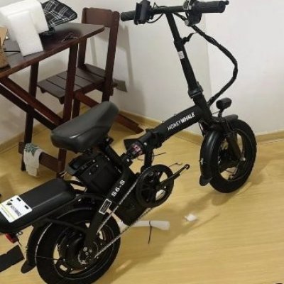 HONEYWHALE S6-S Bicicleta Elétrica 750W 40KM/H