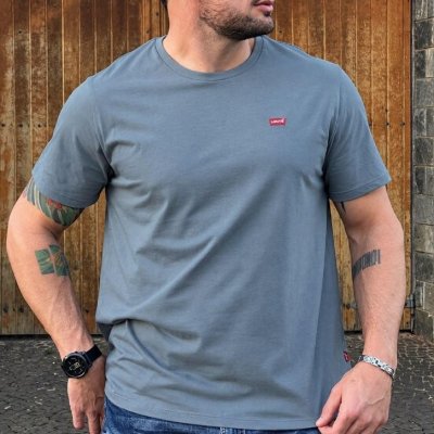 Camiseta Levi's Standard Classic Printed Housemark