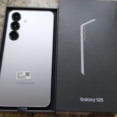 Samsung Galaxy S25 5G 256GB 12GB Câmera Tripla - Prata