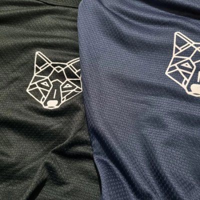 Kit 2 Camisetas Masculinas Dry Fit
