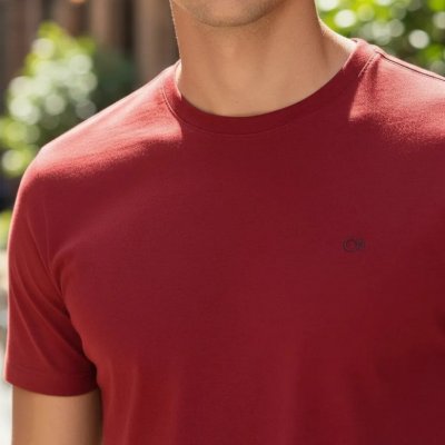 Camiseta Básica Masculina Ogochi Lisa Premium