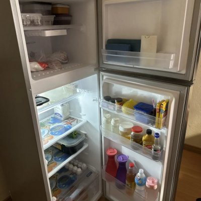 Geladeira Electrolux Frost Free 320L Duplex