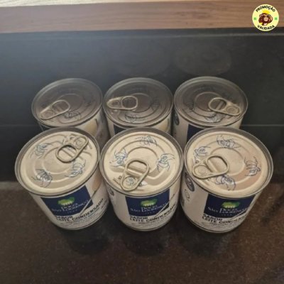 Leite Condensado Diet 335g