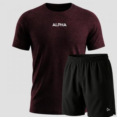 Kit Bermuda Lobo + Camiseta Dry Fitness Academia Alpha — review