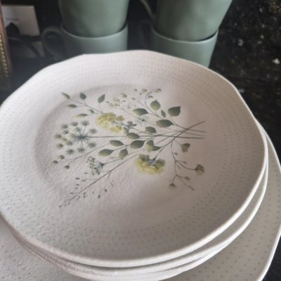 Jantar 16 Peças Ammi Leaf Porto Brasil