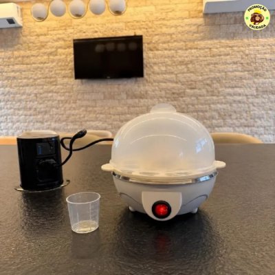 🥚 Cozedor Eletrico De Ovos A Vapor Portatil 220V