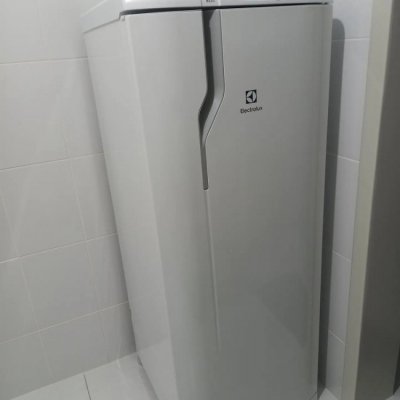 Geladeira Electrolux 240L Defrost RE31 127V