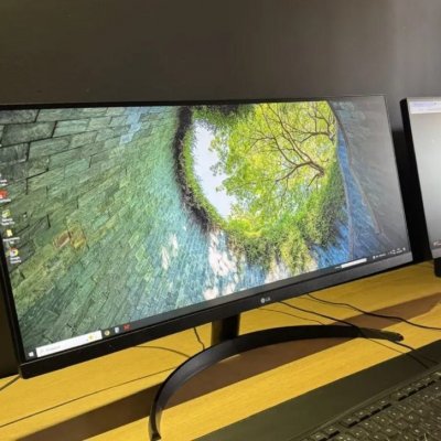 Monitor LG UltraWide Tela IPS HDR10 100Hz