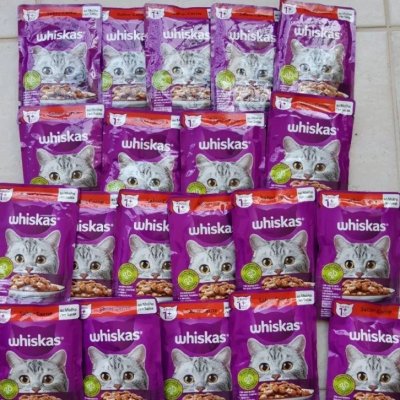 Whiskas Sachê 85g – 16 Unid +4 Grátis Leve 20