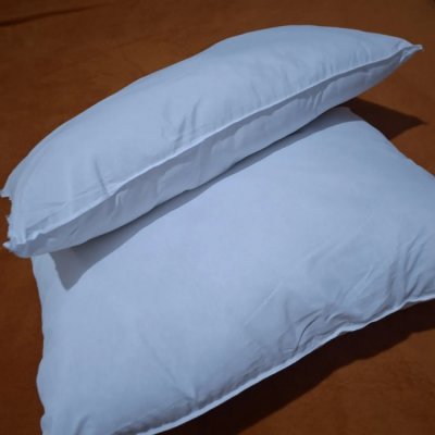 Kit 2 Travesseiros Antialérgico Soft Coton