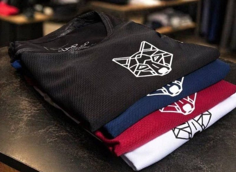 🐺 Kit 4 Camisetas Dry Lobo Alpha