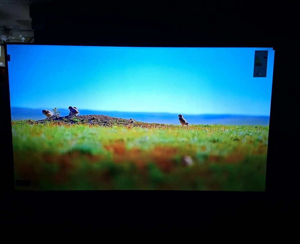 TCL 55 QLED 4K T6C Google TV HDR10+