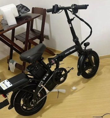 HONEYWHALE S6-S Bicicleta Elétrica 750W 40KM/H