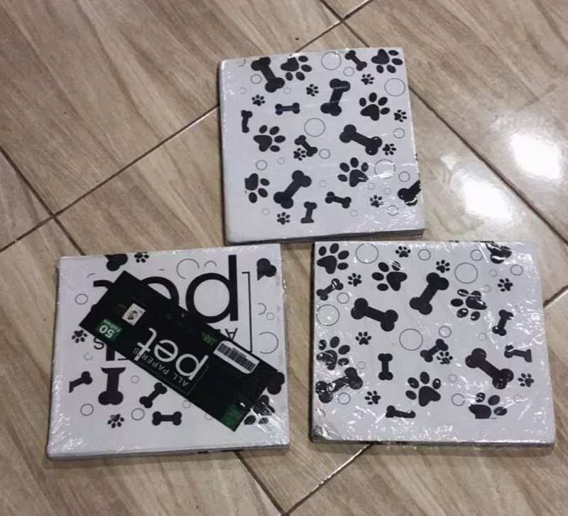Kit Jornal Pet Higiênico 50 Folhas Biodegradável