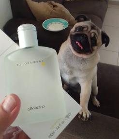 Boticário Insensatez Deo Colônia 100ml