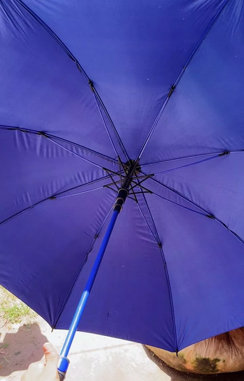 Guarda-Chuva Grande Automático Reforçado