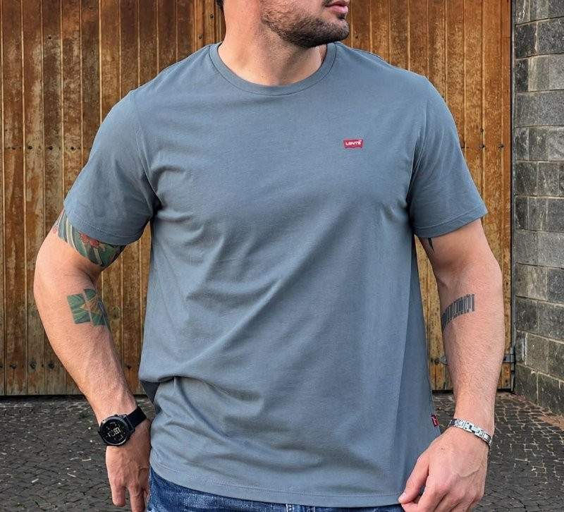Camiseta Levi's Standard Classic Printed Housemark