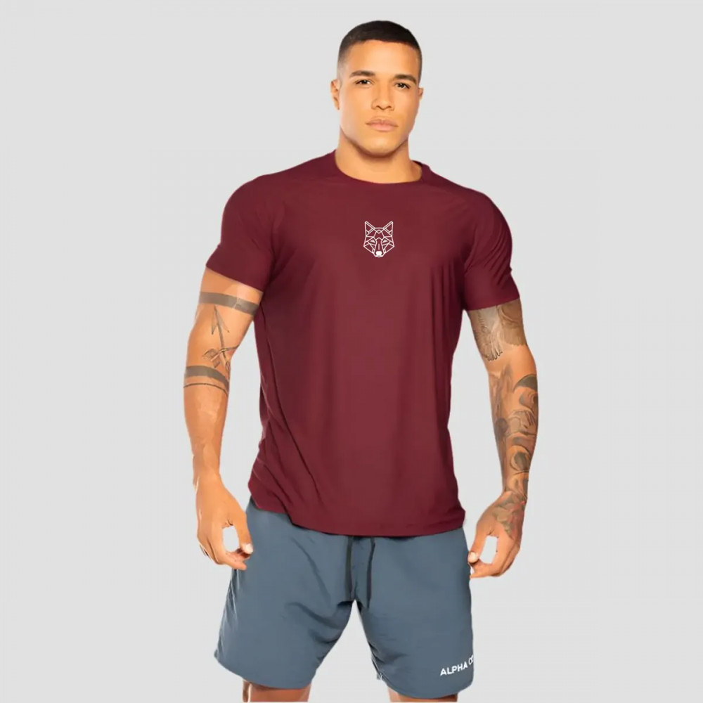 Kit 3 Camisetas Dry Alpha Lobo Geométrico